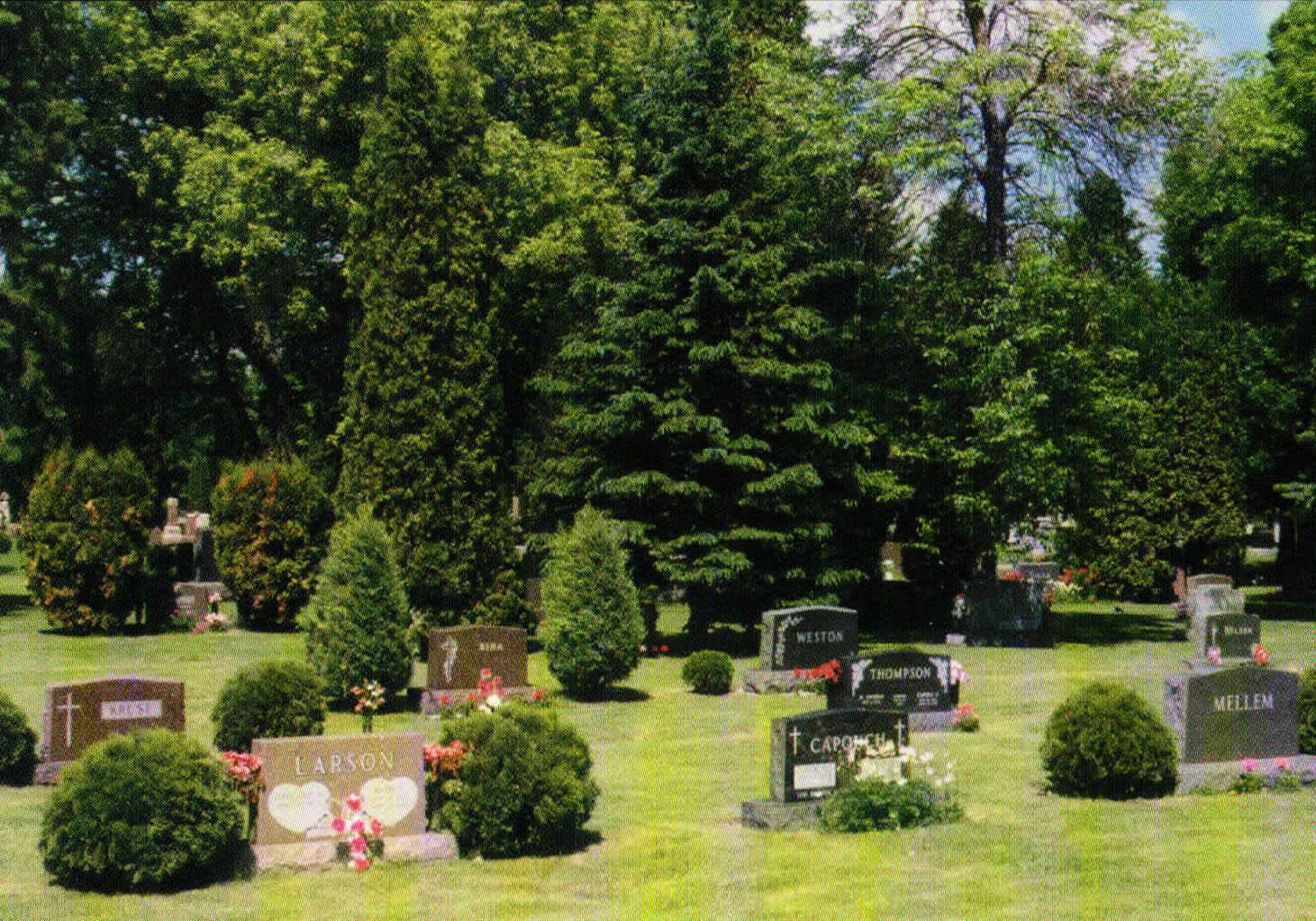 cemetery2